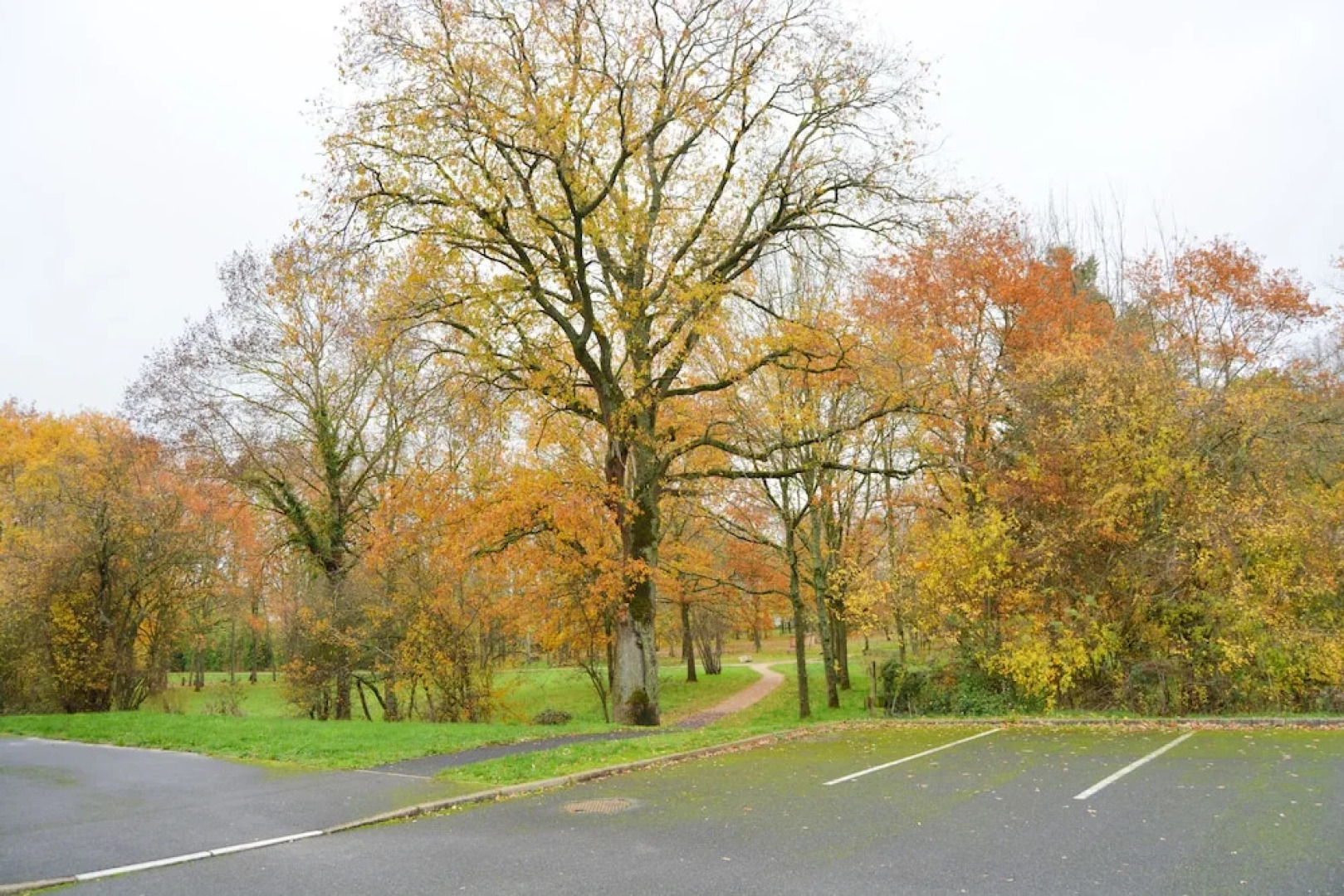 Zenao Appart'hotel - Yzeure