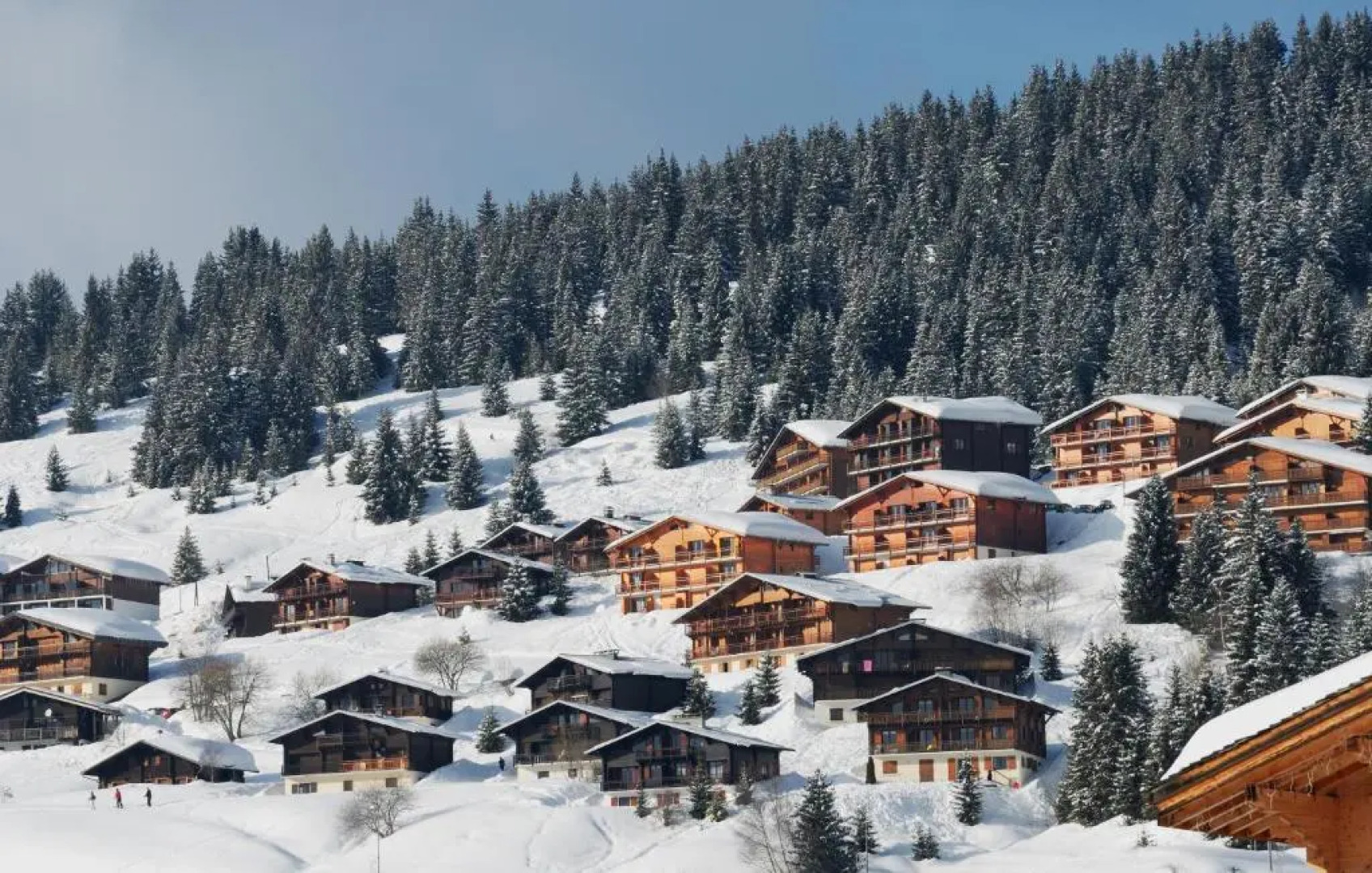 Résidence Reine Des Prés - Chalets Joguet