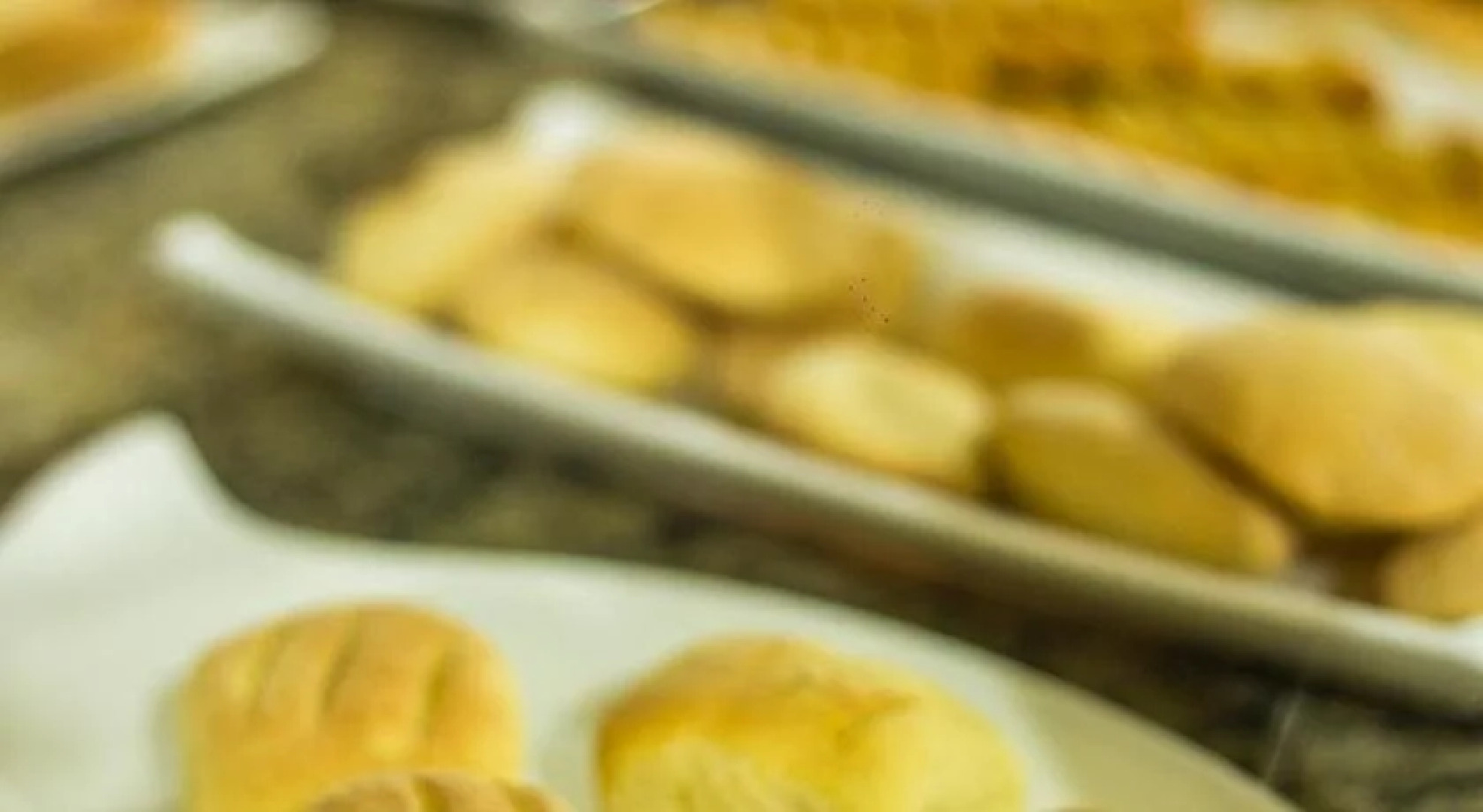 Candeias Hotel Gold Fish