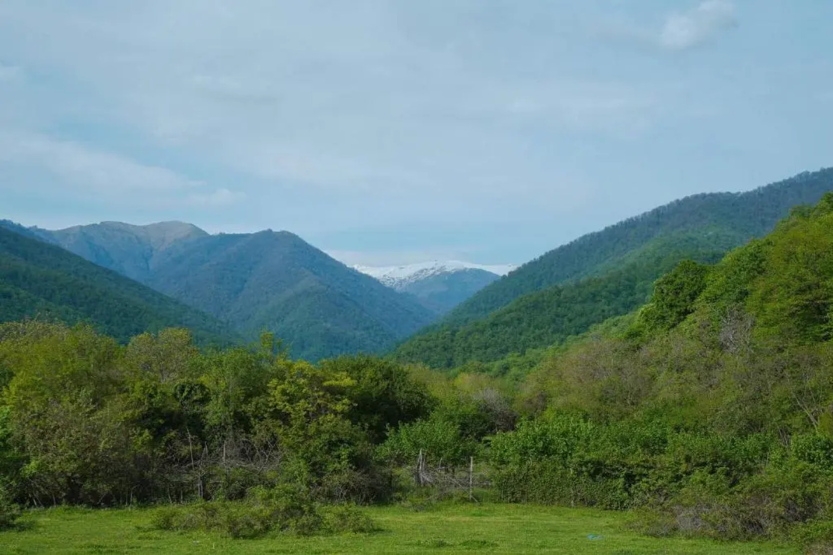 Отель Tilia Kvareli Resort