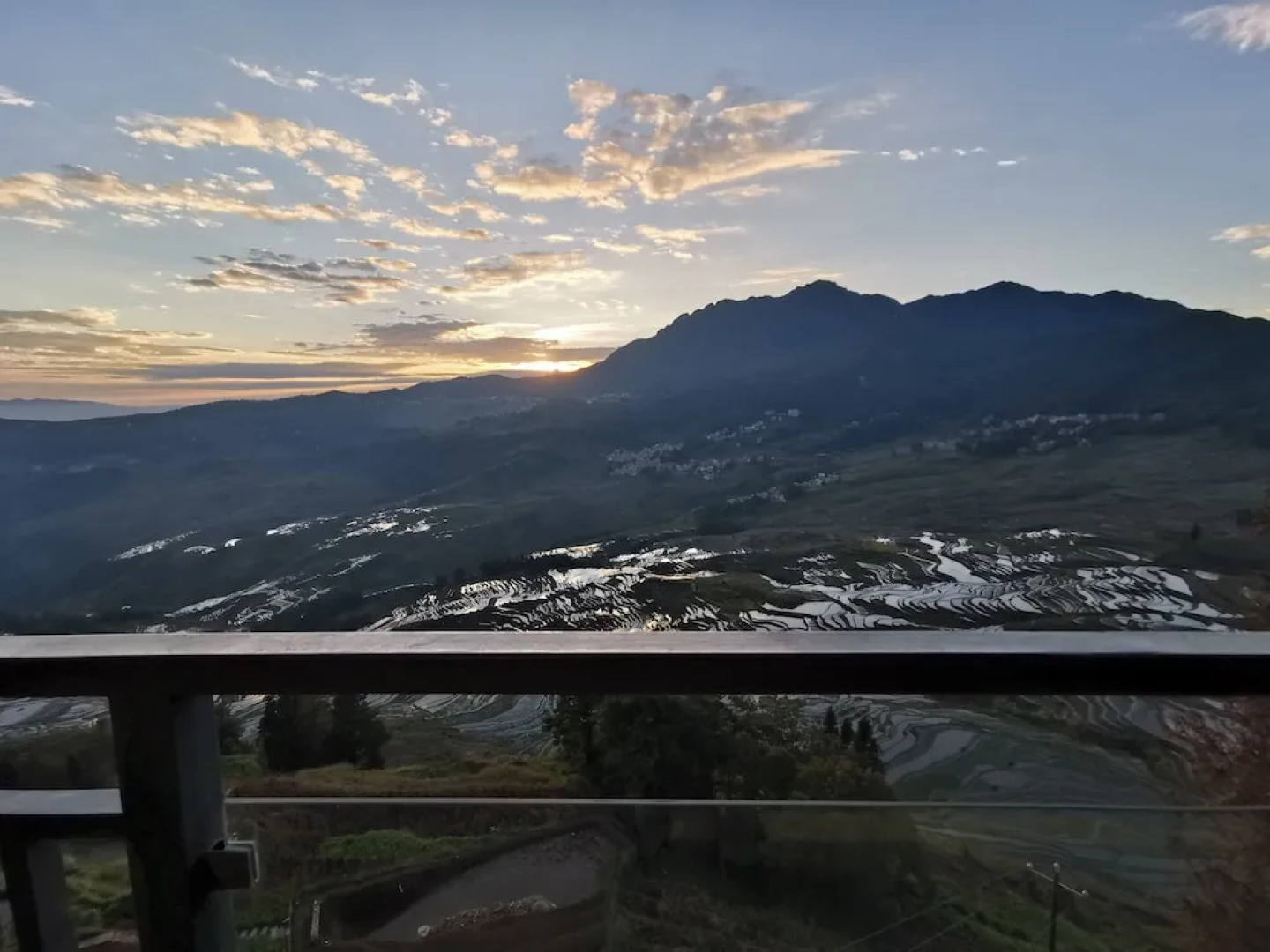 Plants and Flowers.YSTS