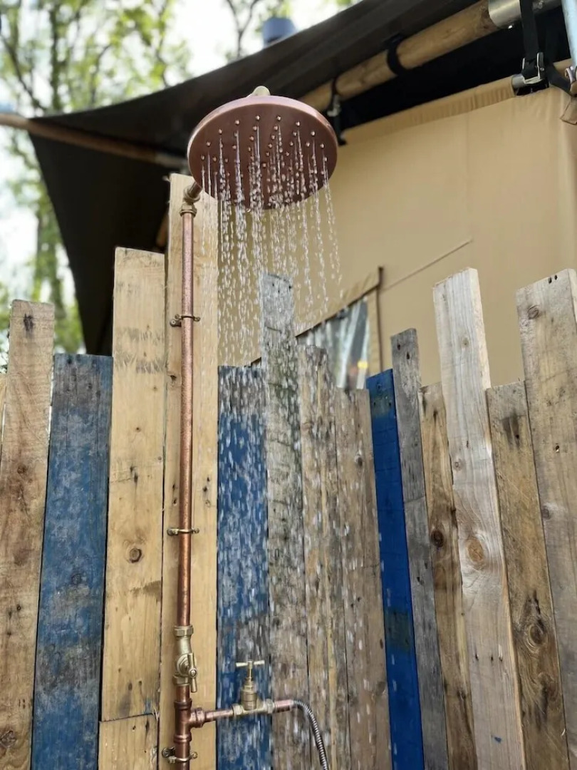 Lion King Safari Tent