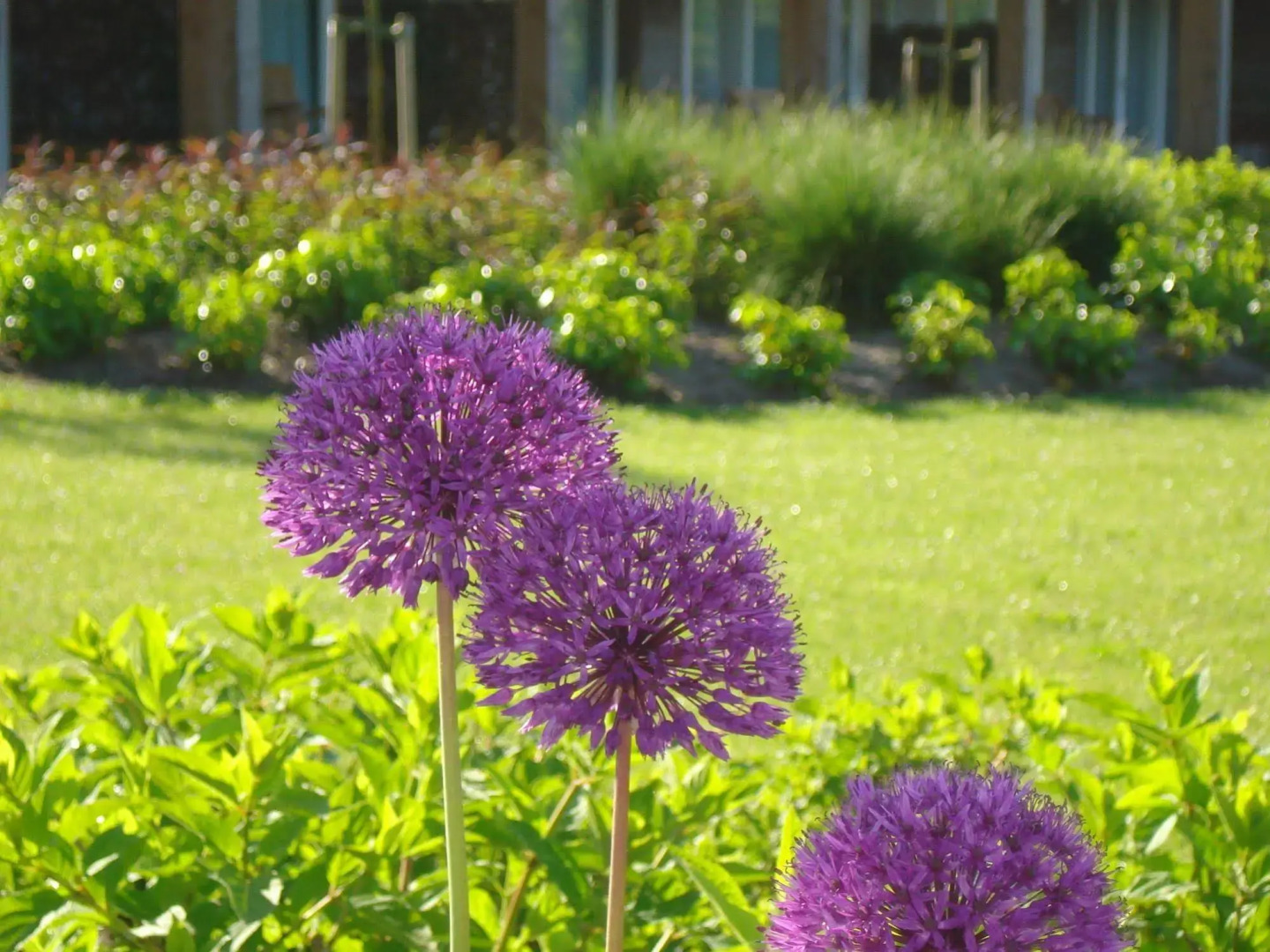 Lodgerie Het Groene Geheim