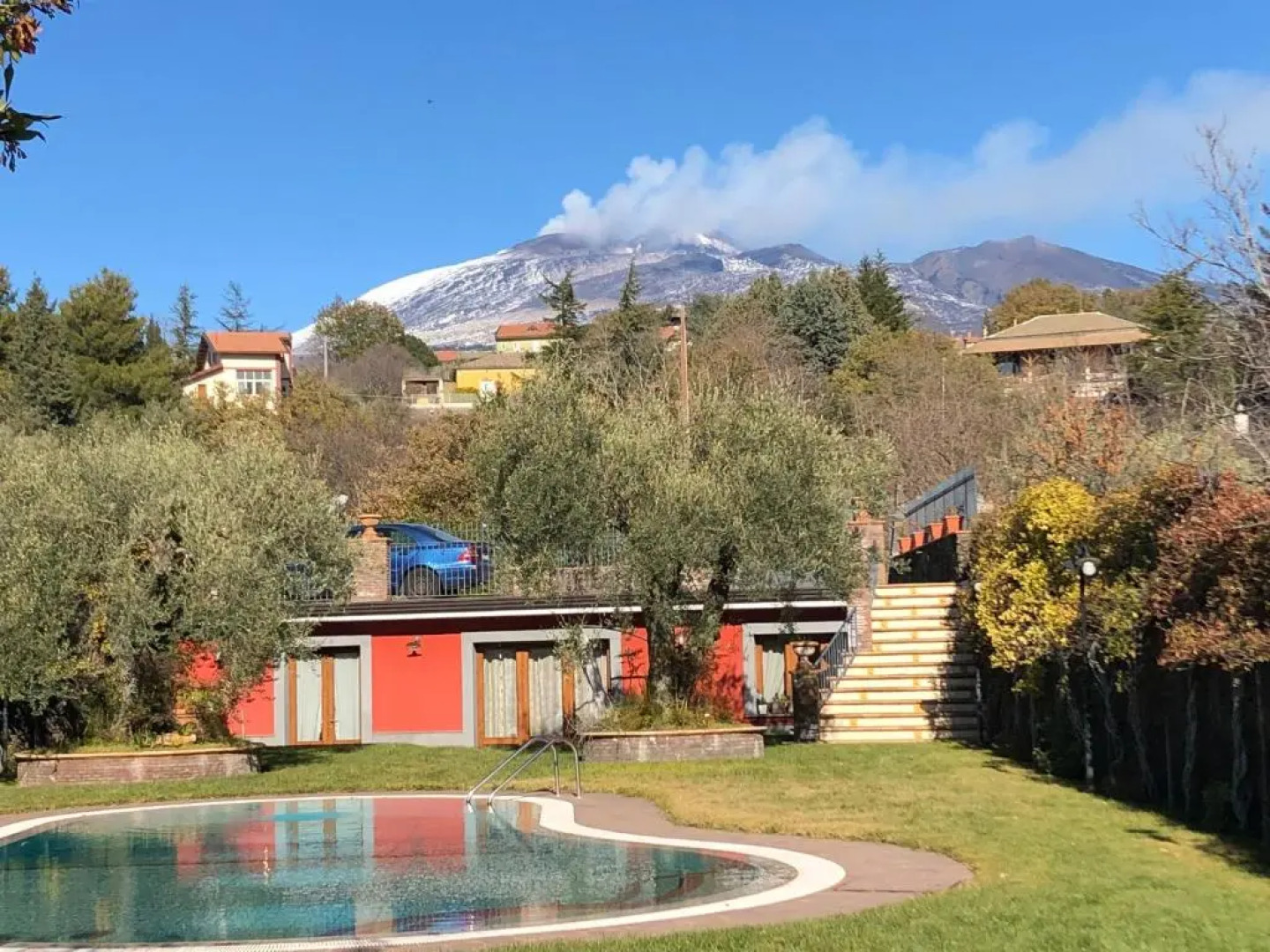 Daisy Magnolia House