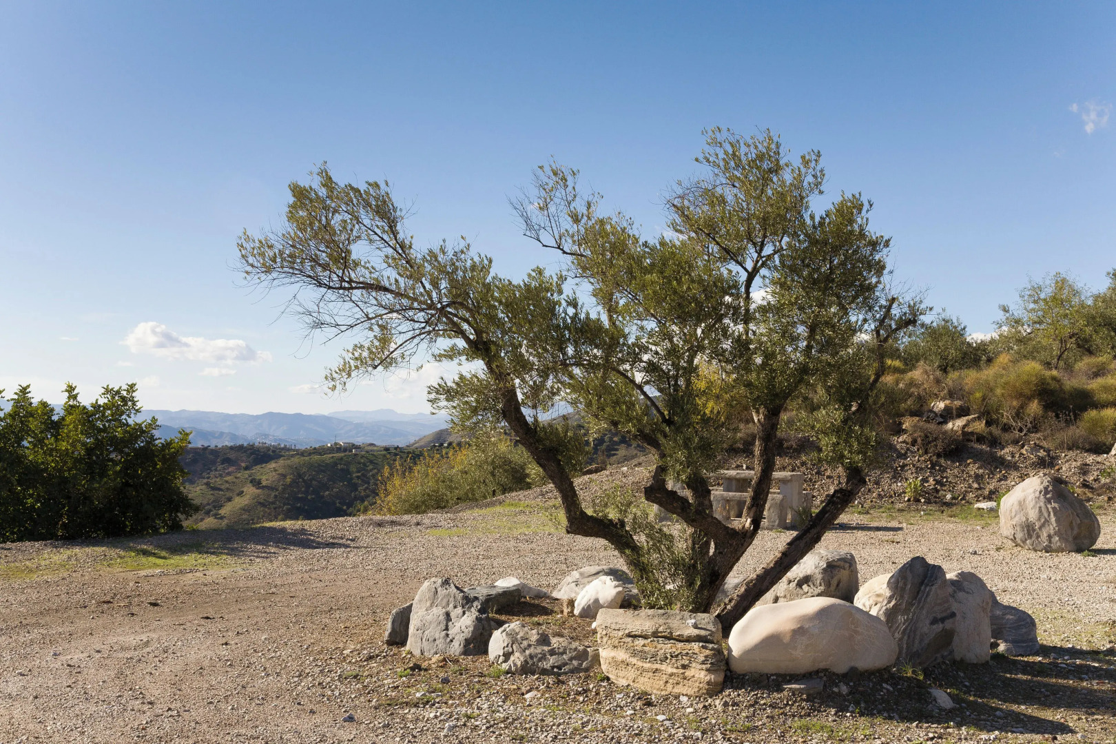 Bed & Breakfast Al Campanario