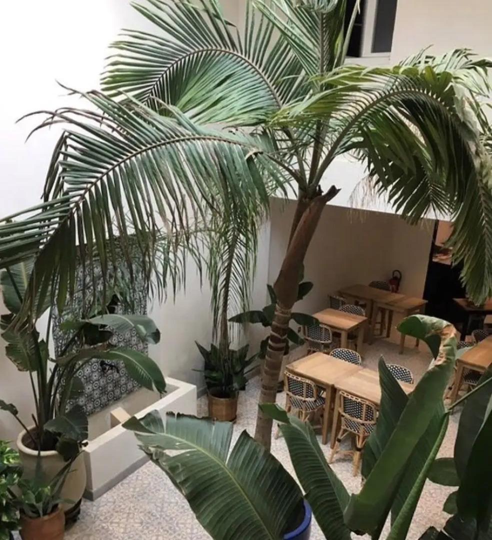 Appartement Douce Nuits