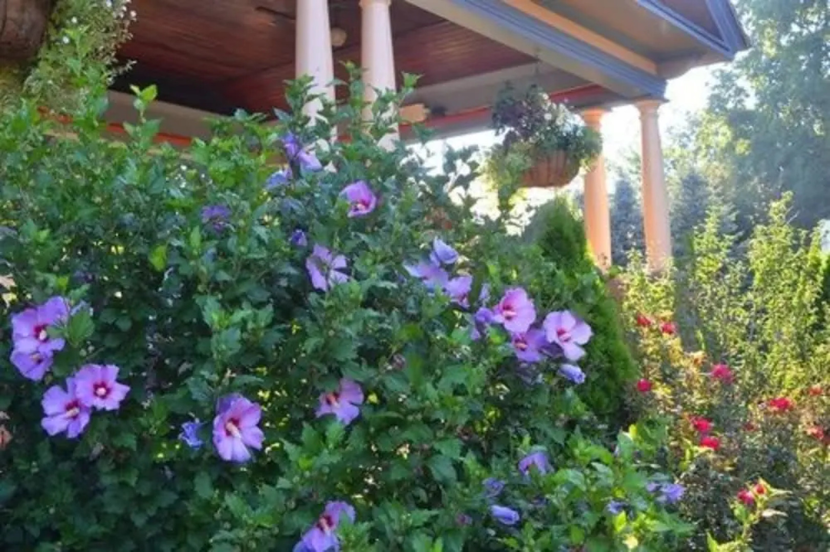 Union Gables Bed & Breakfast