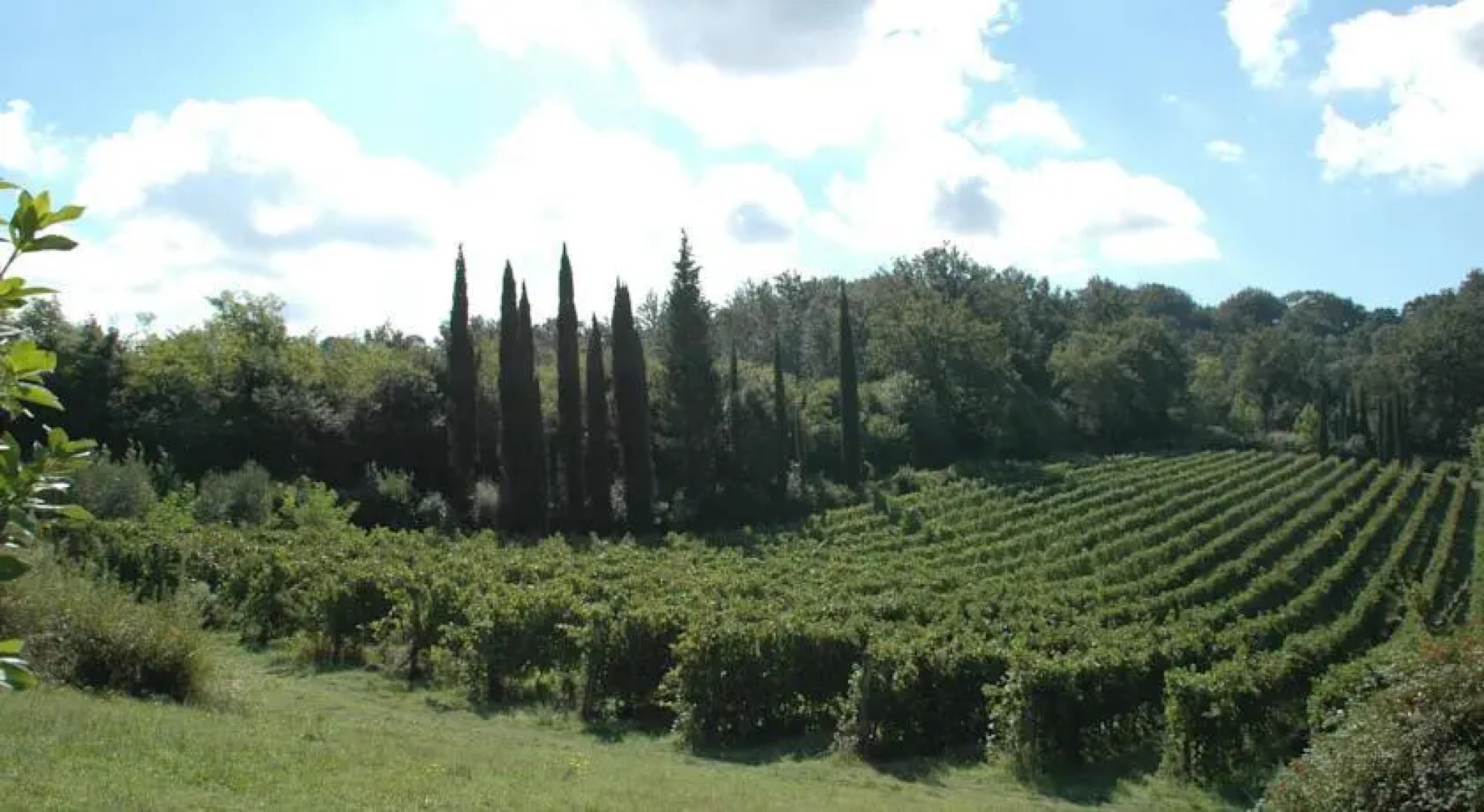 Villa Roma Imperiale