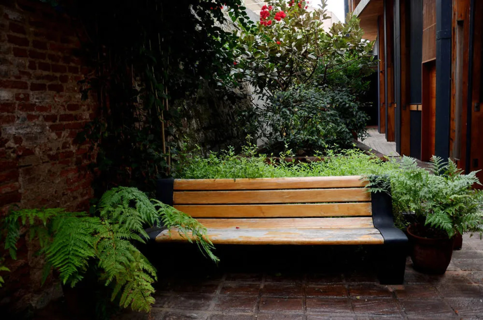 Hotel Cirilo Armstrong