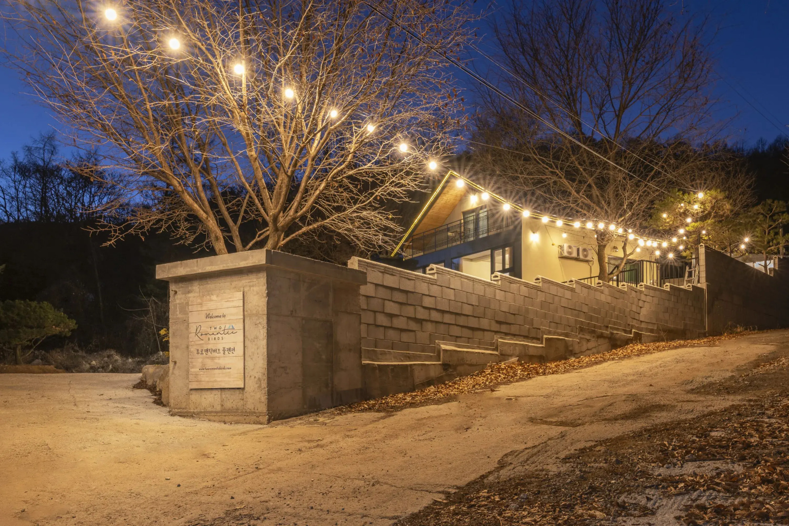 Two Romantic Birds Pool Pension