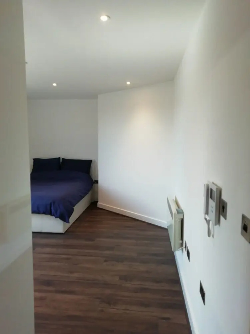 Luxury One Bedroom Apartment