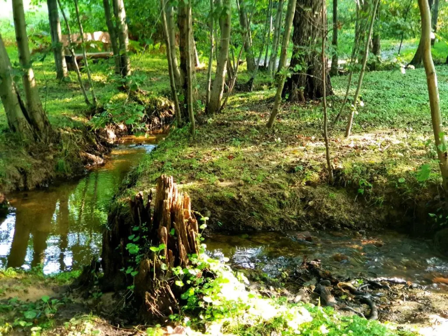 Pensiunea Casa Noastra