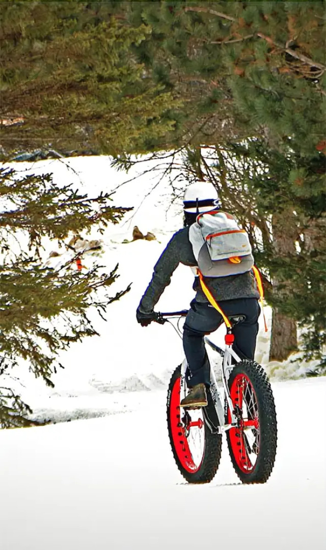 Villas at Giants Ridge