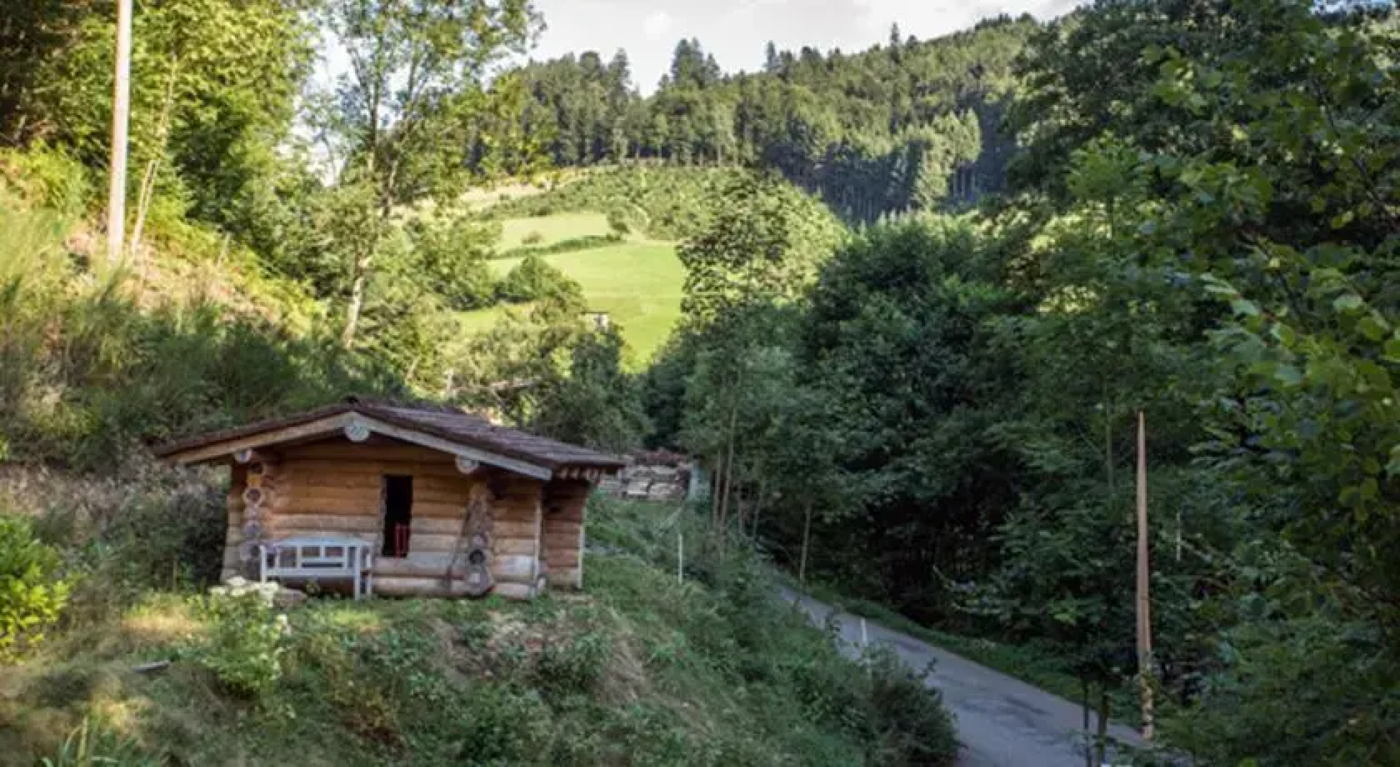 Ferienhaus Forschkönig