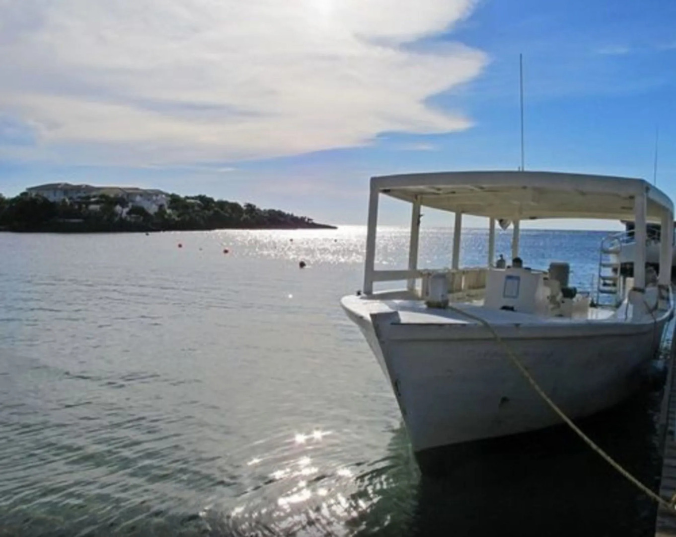 Coconut Tree West Bay