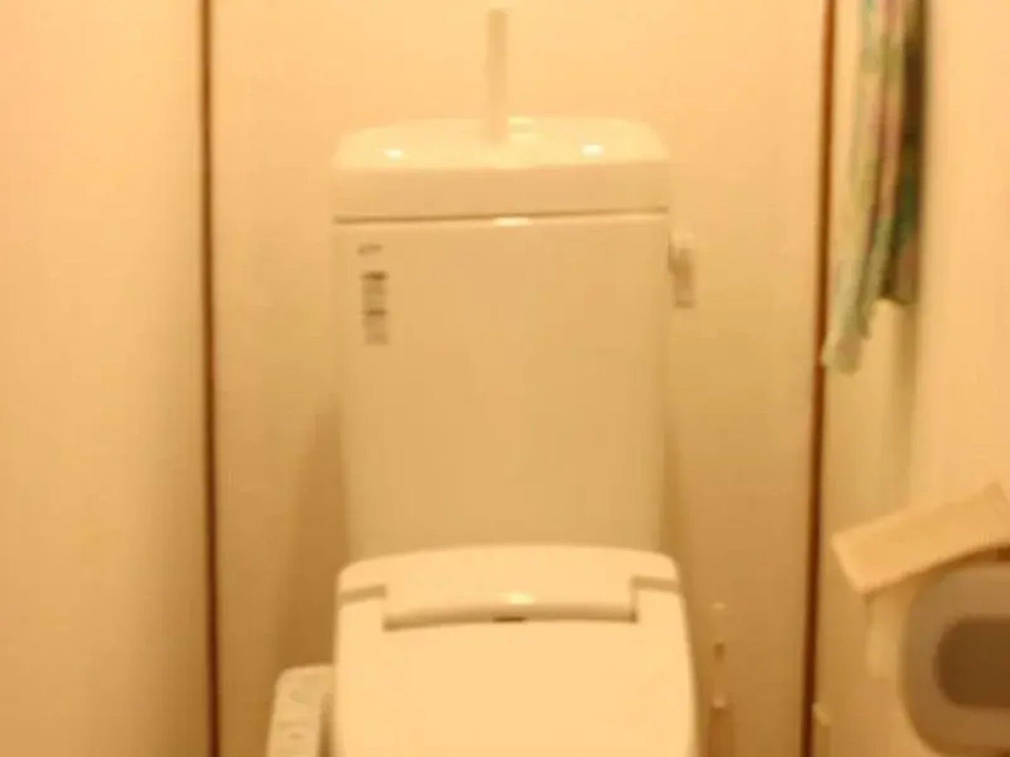 Tentsuku Guest House - Hostel