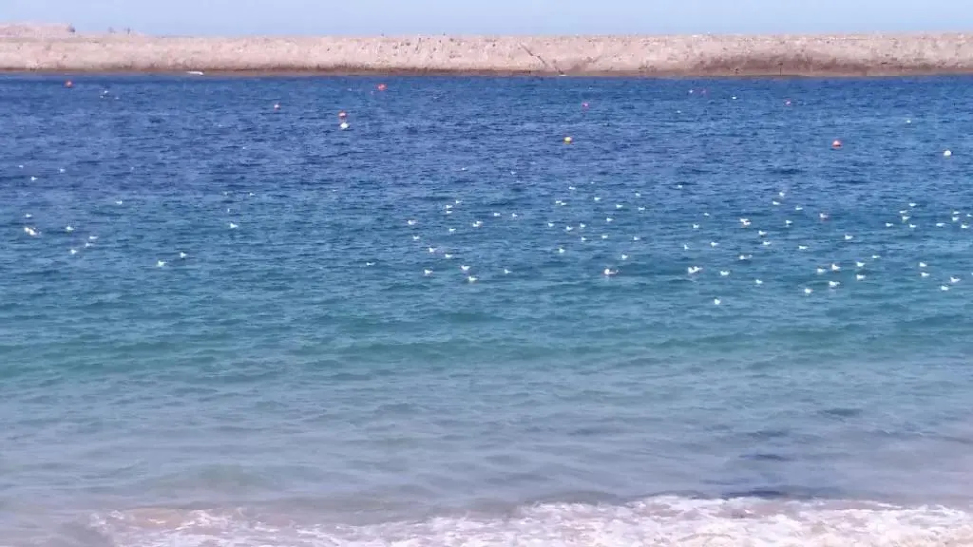 Península de la paz