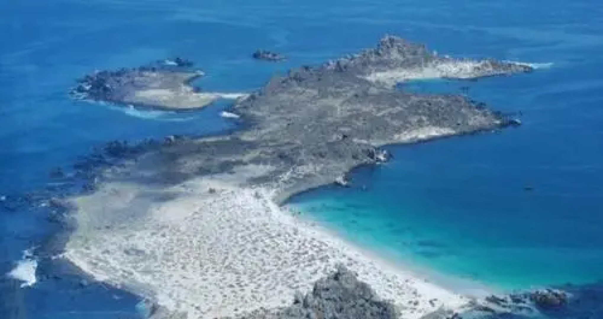 Apartment La Serena Bustamante 3559