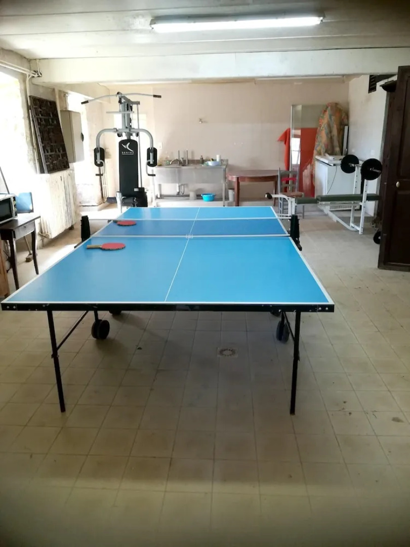 Mansion With 7 Bedrooms in Mosnay, With Enclosed Garden and Wifi