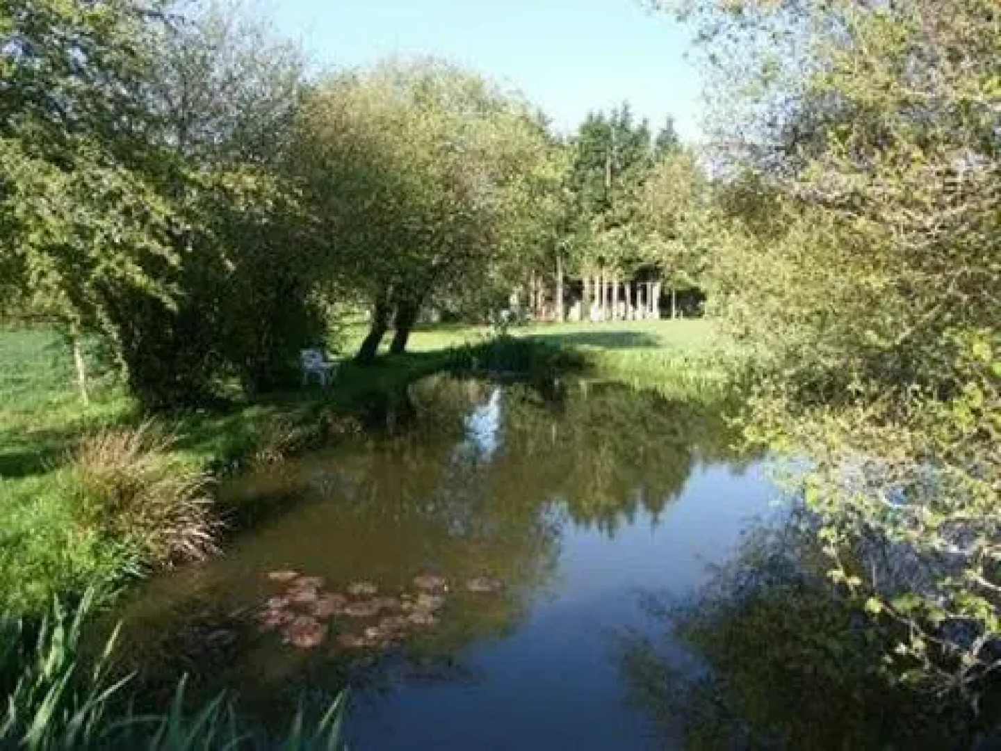 Chambres d'Hôtes Le Bois Gerboux