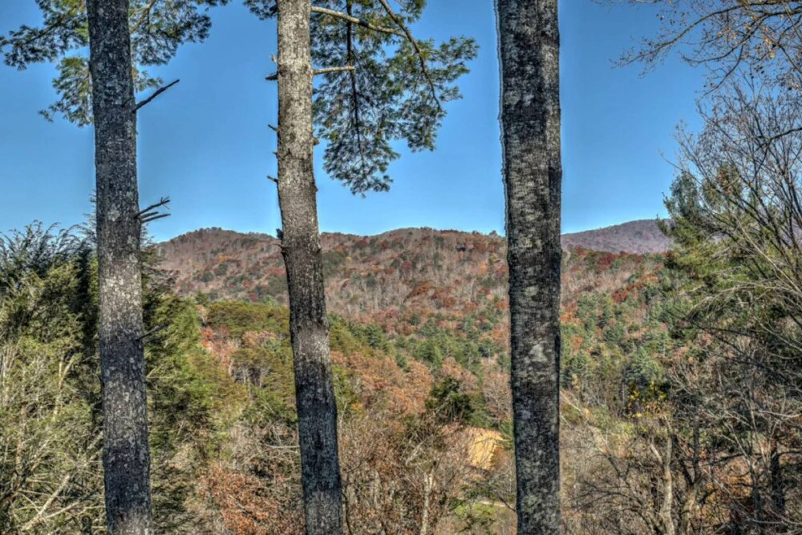 Knotty Barn by Escape to Blue Ridge