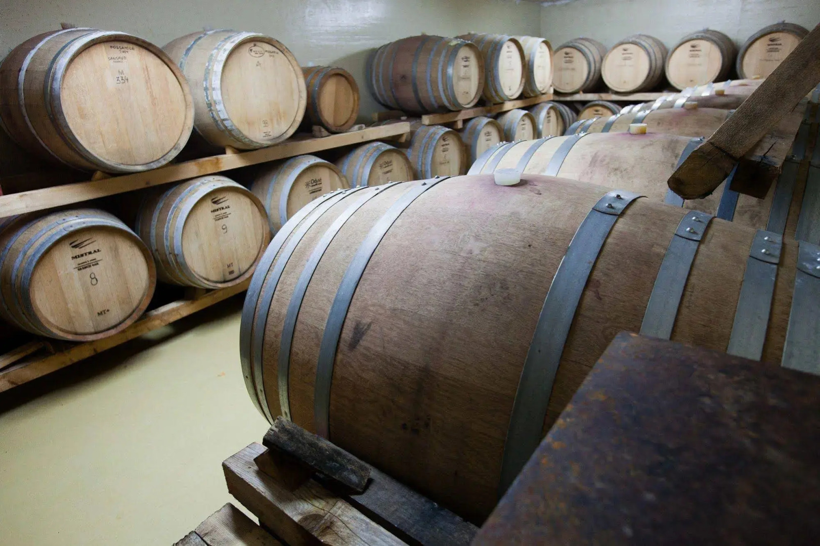 Agriturismo La Camporena