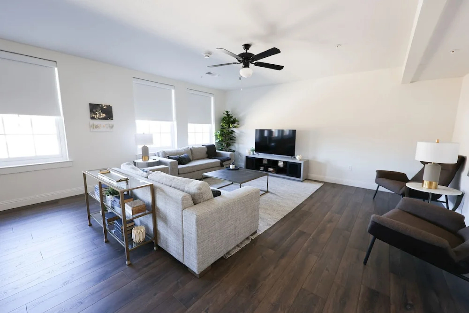 The Crazy Water Hotel