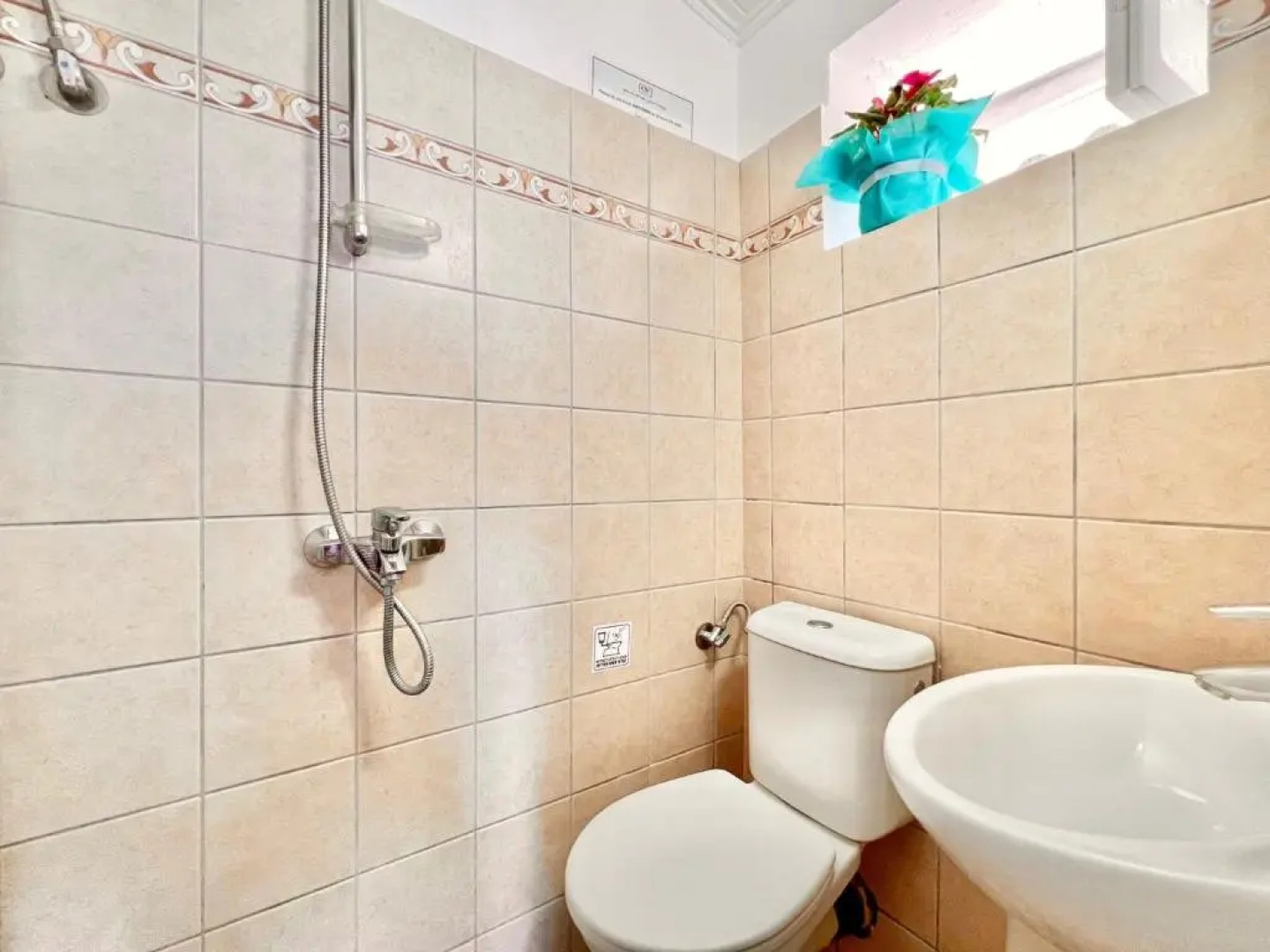 Apraos Beachfront Studio