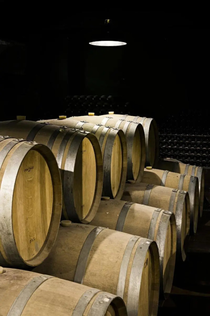 Quinta de S. Bernardo Winery & Farmhouse