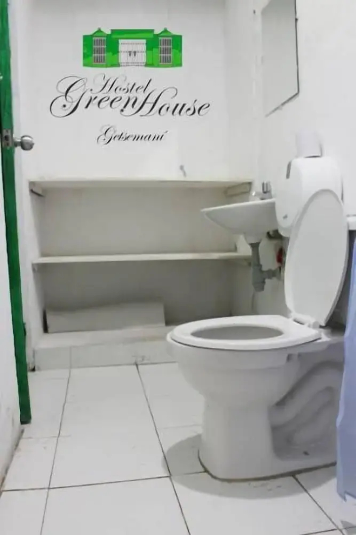 Hostel Green House Getsemani