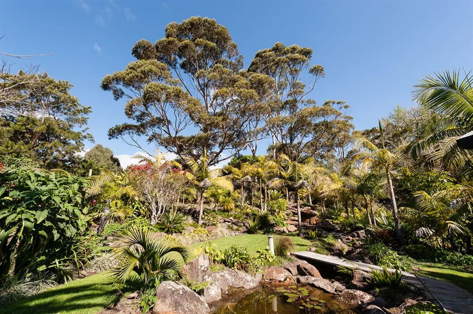 Sanctuary in the Cove