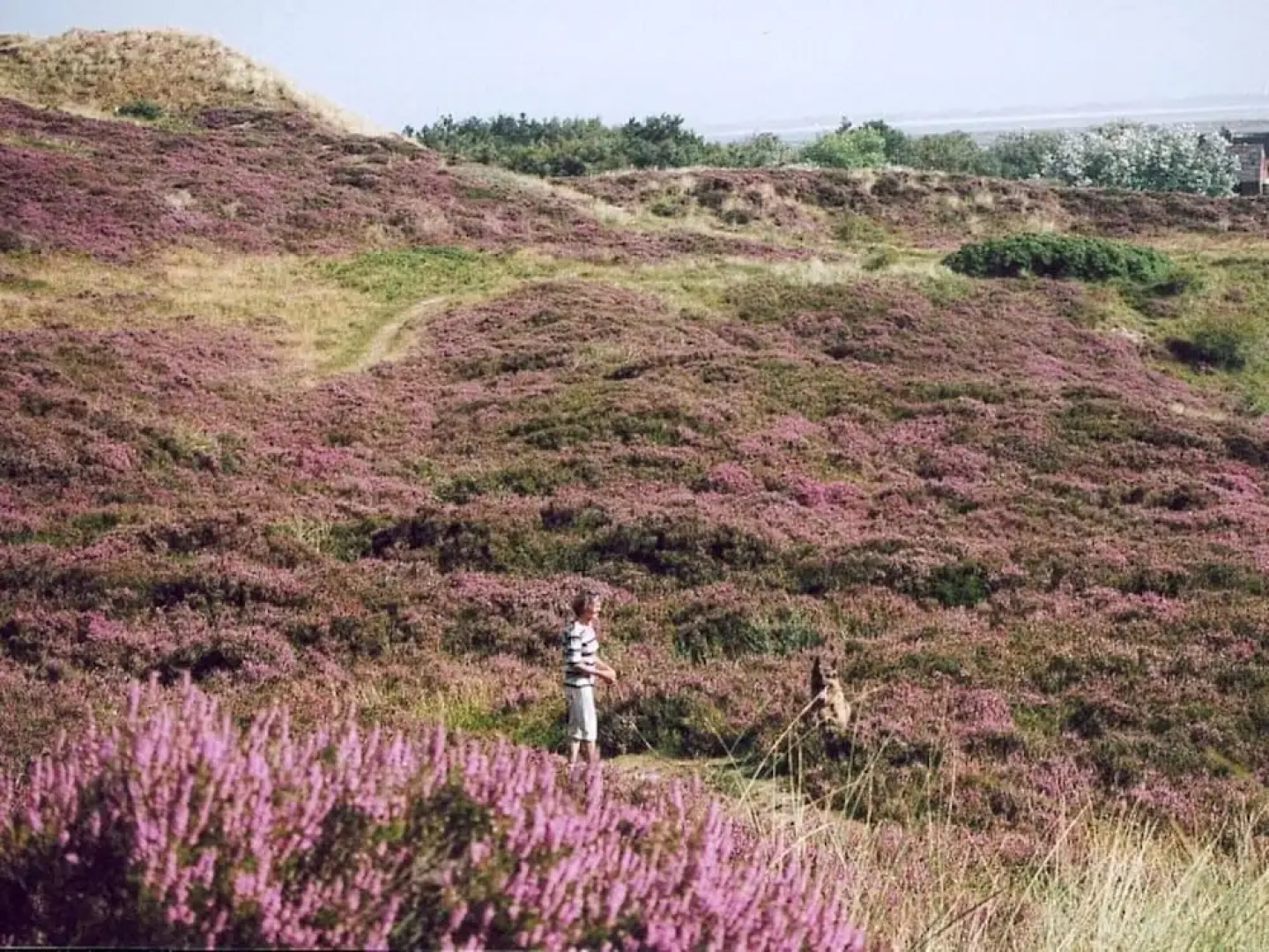 Nordic Huis Modern Retreat