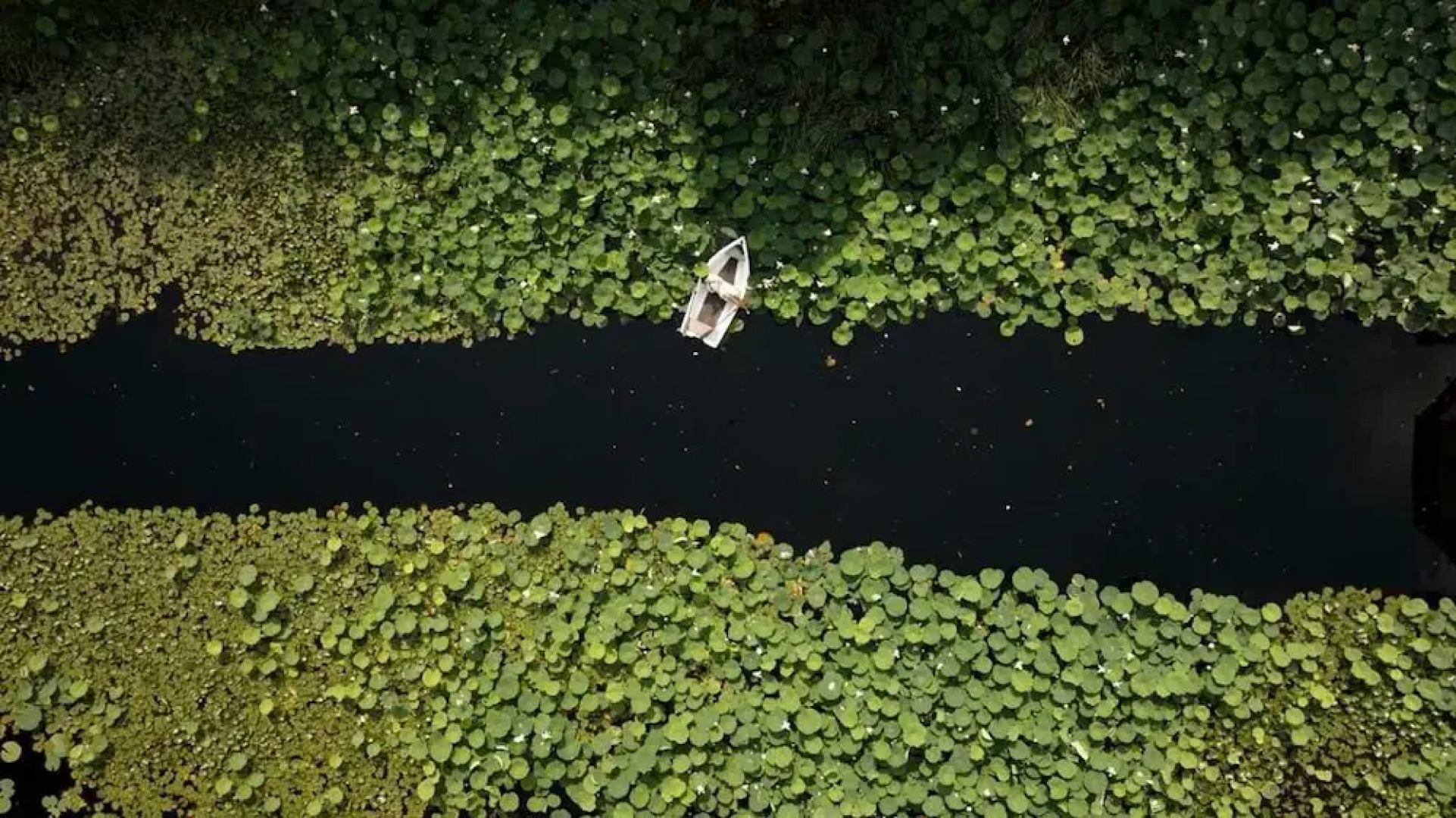 Tranquil 1BR Villa in Revislate