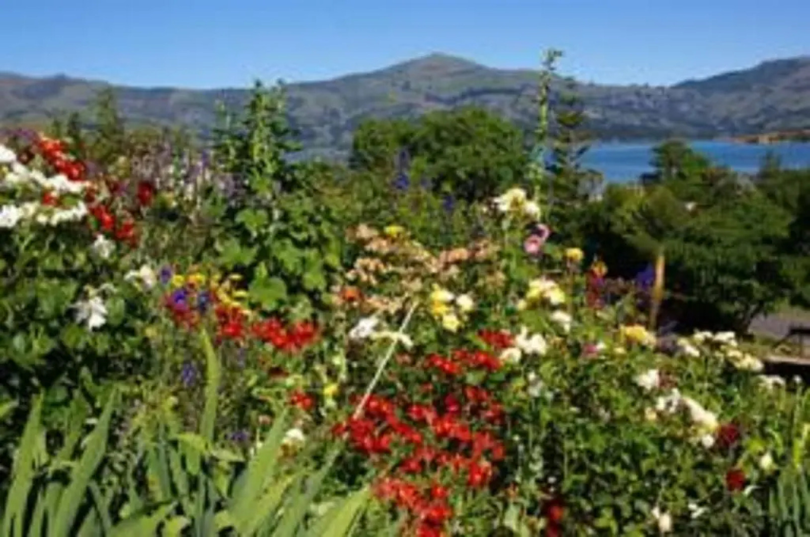 L'abri Bed and Breakfast