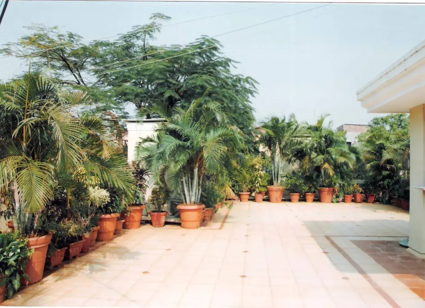 Hotel Airlines International