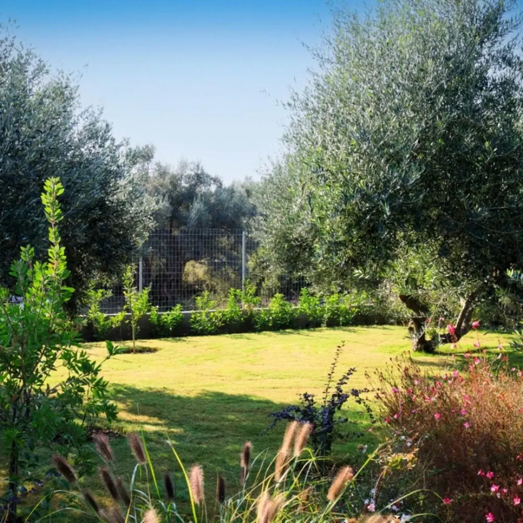 Torretta - Harmonia in Ligia