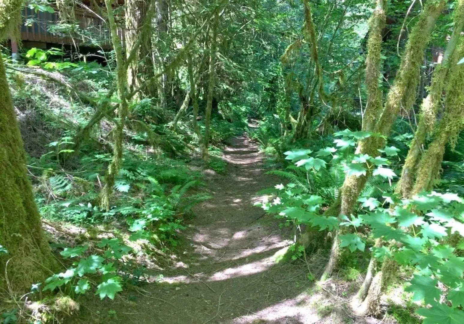 86sl - Rustic - Pets Ok - Bbq - Sleeps 6 3 Bedroom Home by RedAwning