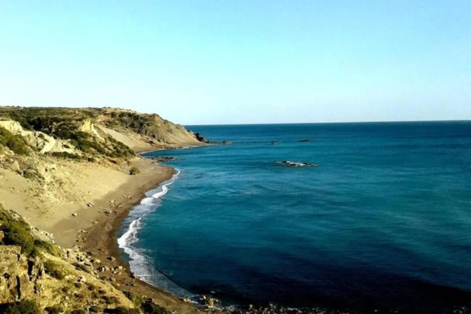 Antonis's Palm House