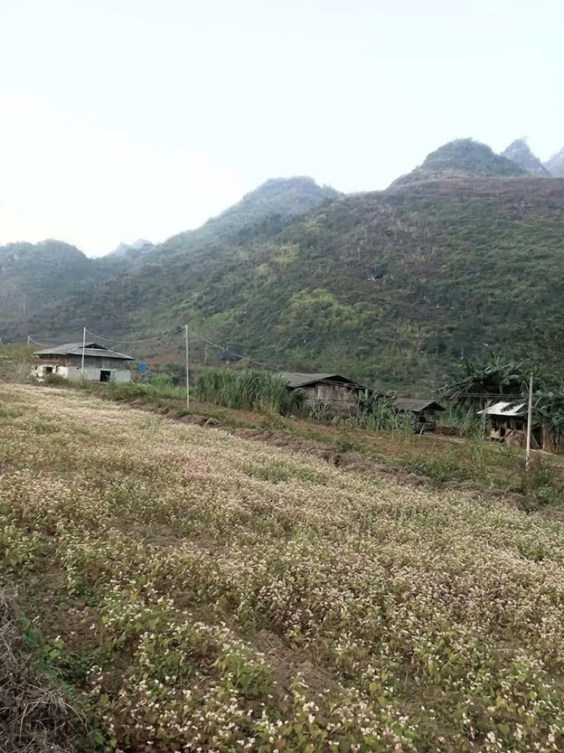 Du Gia Waterfall Hostel & Homestay