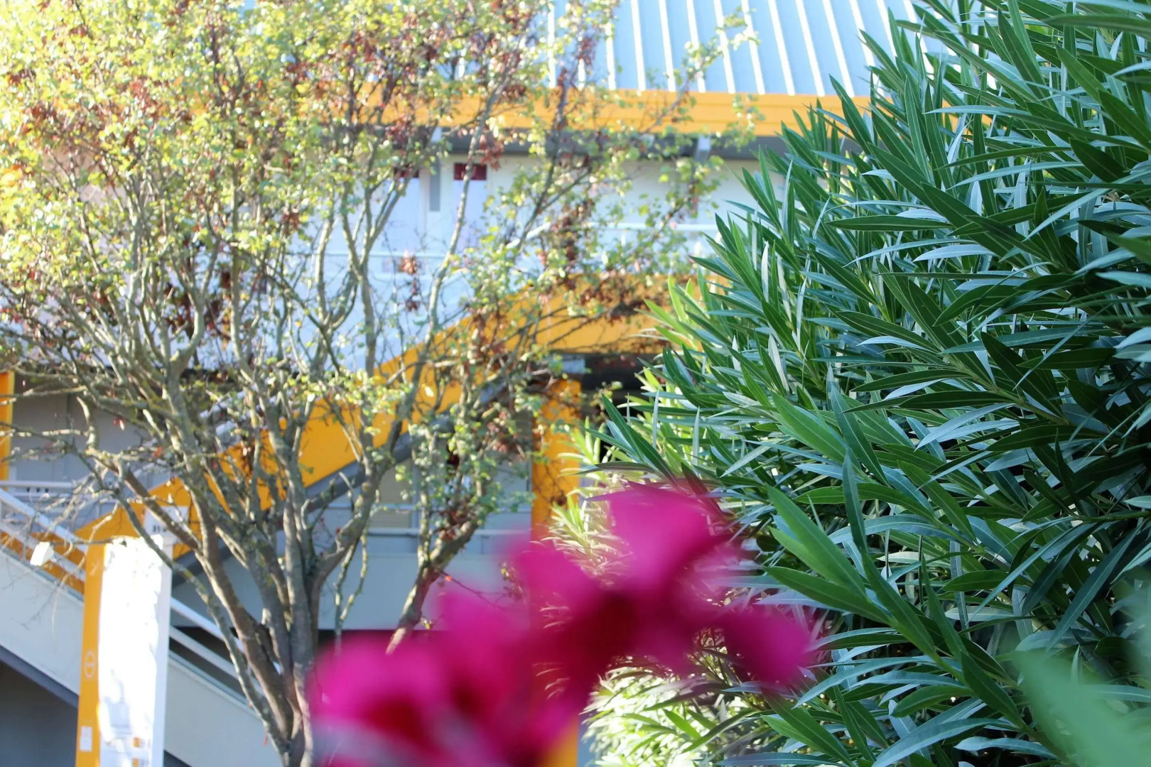 Premiere Classe Orange