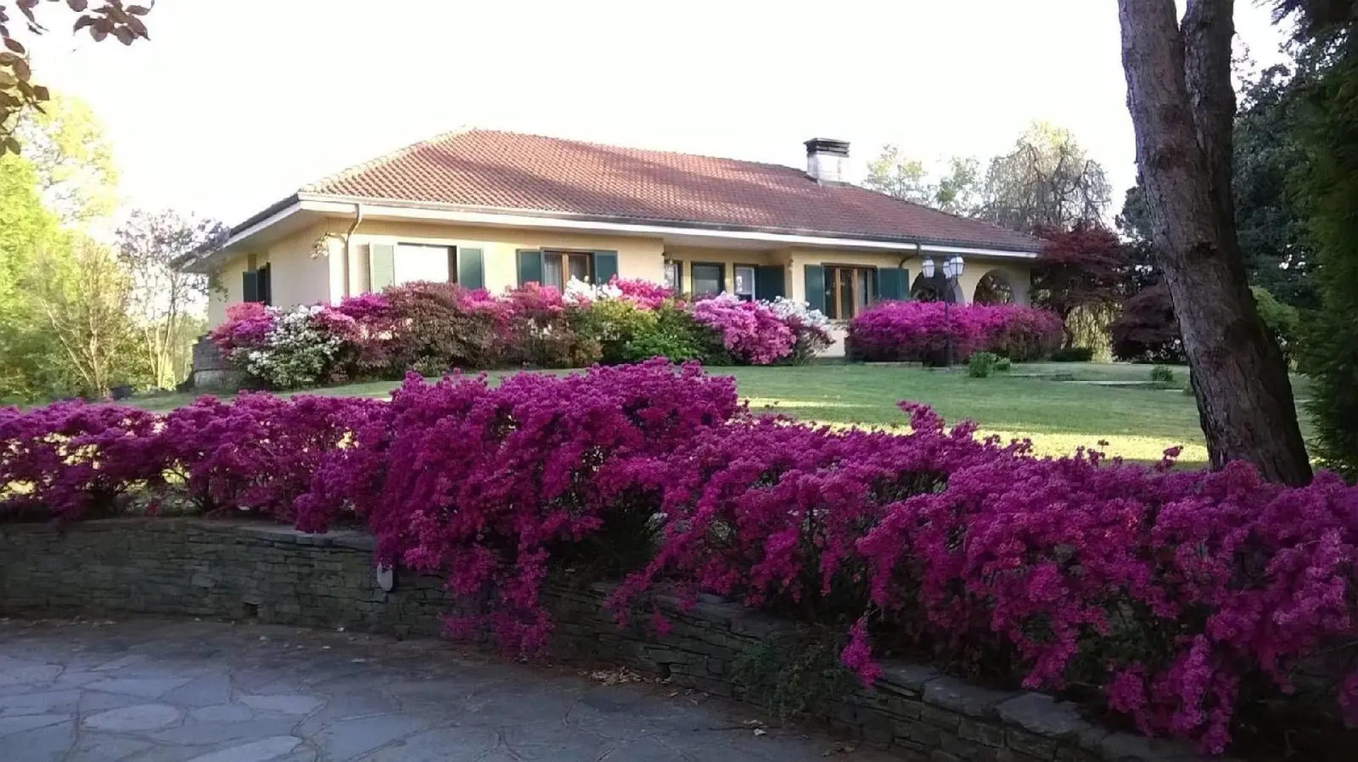 B&B Alla Gazza Ladra