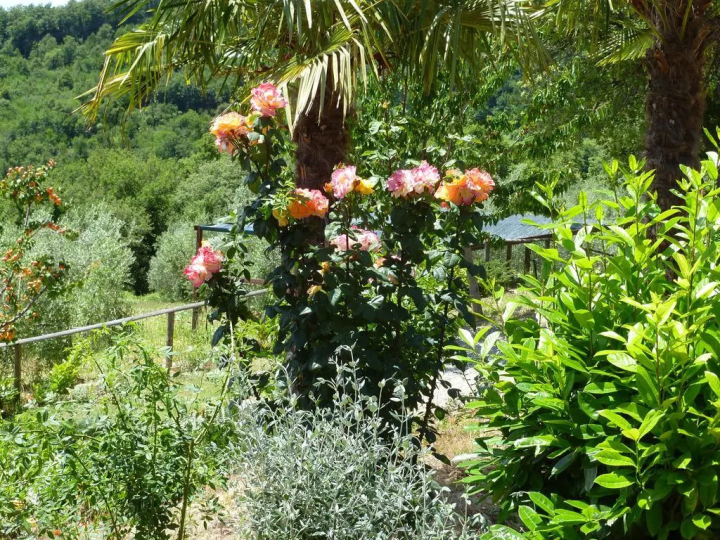 Agriturismo Parzalla