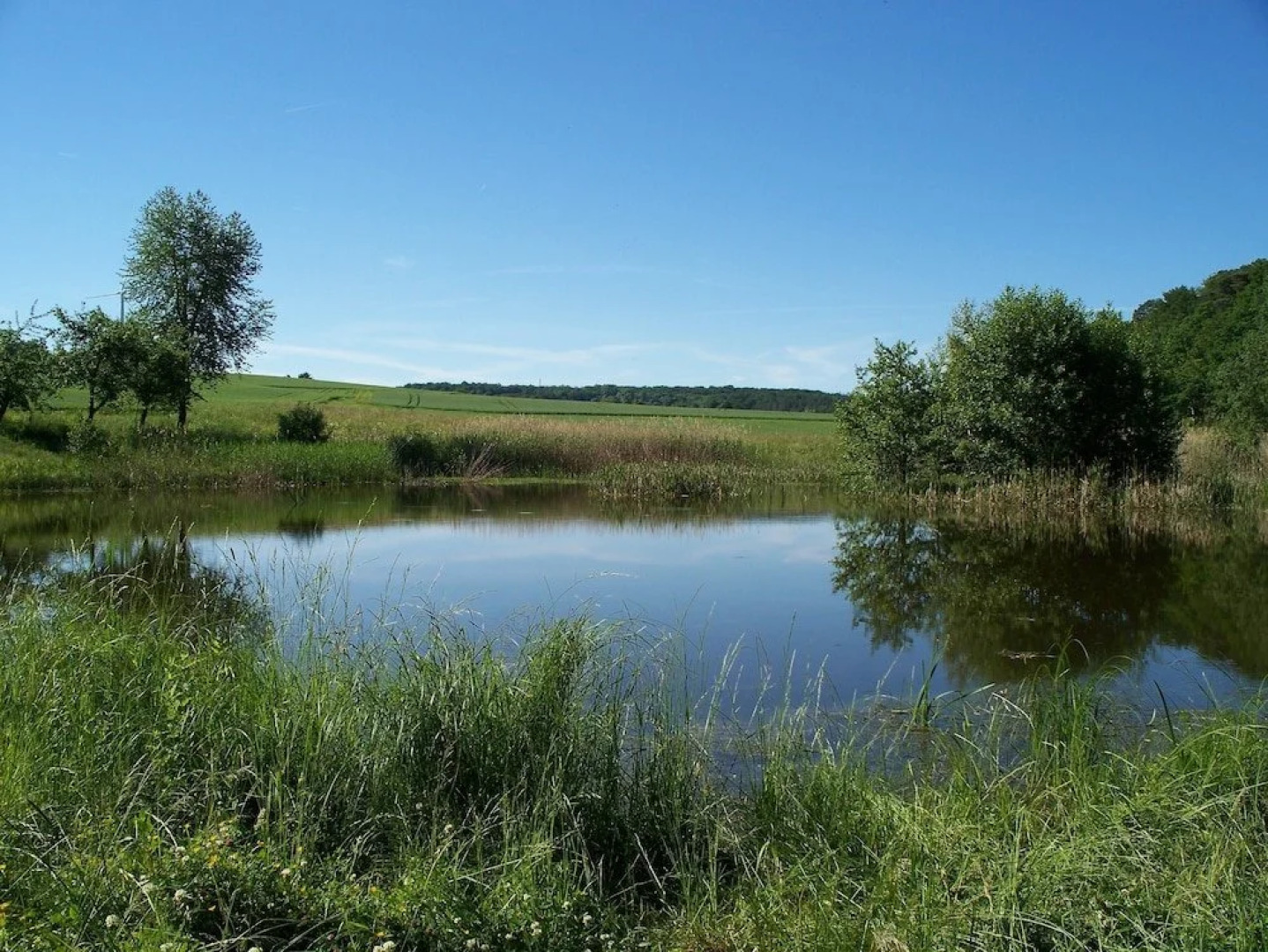 Gasthof Stern Rauenberg