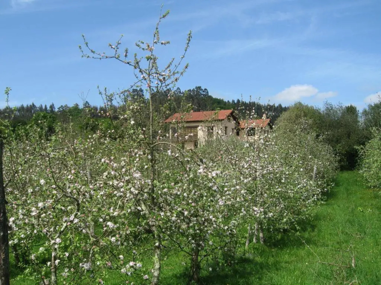 Country House Quinta El Verxel