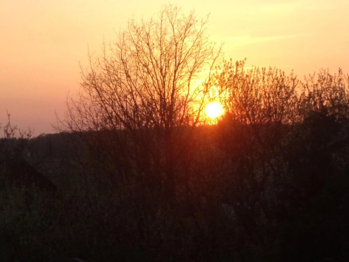 Ferienwohnung-der-Familie-Thierse