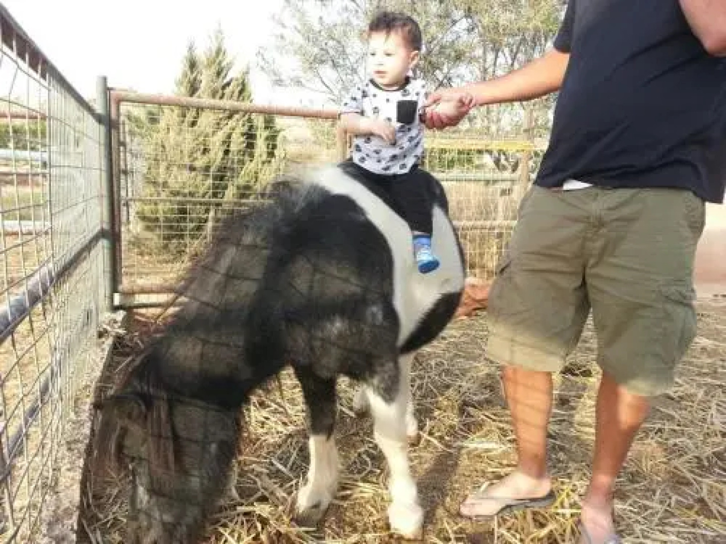 Karmey Har Hanegev Farm