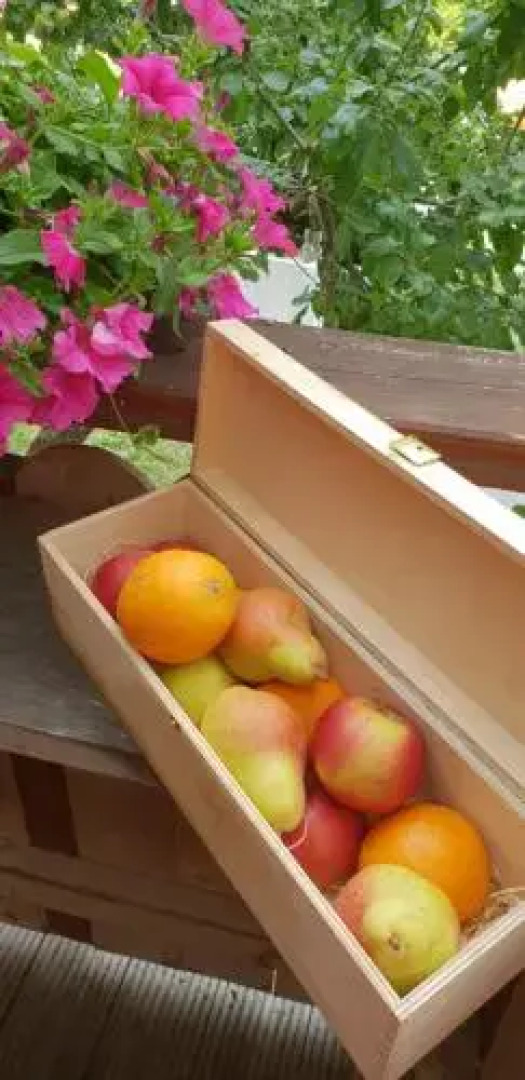 Hotel Schwarzer Adler