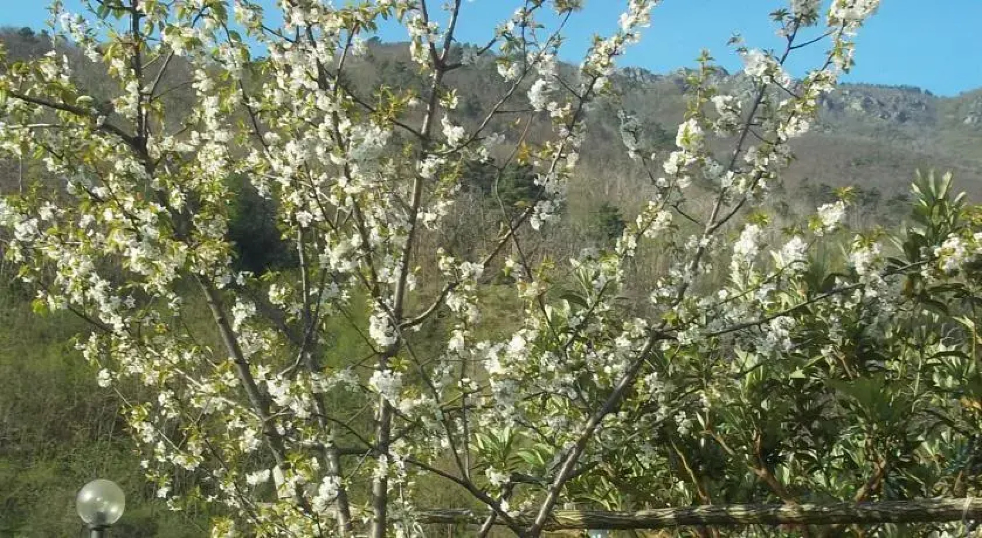 Agriturismo Del Ponte