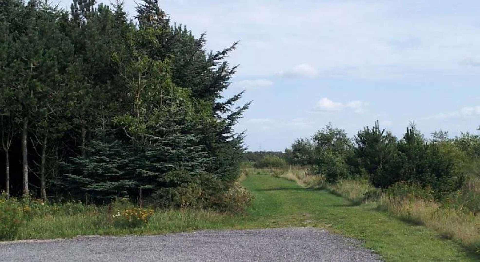 Bed & Breakfast Ribe