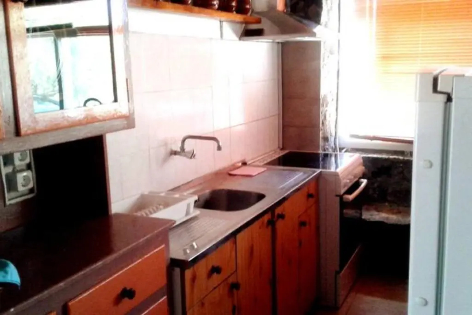 Antonis's Palm House